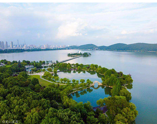 问鼎中国有限公司官网